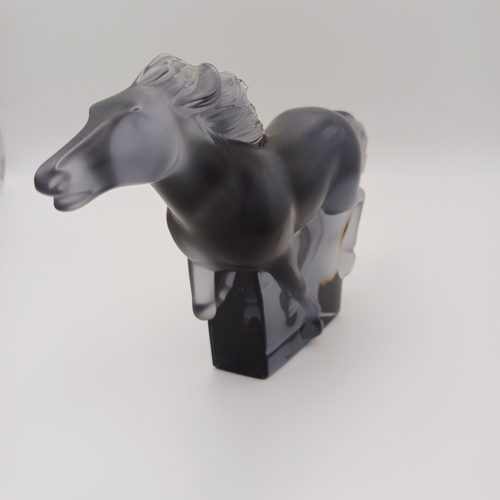 88 - A signed Lalique Galloping Horse in Smoked Glass