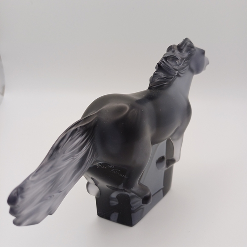 88 - A signed Lalique Galloping Horse in Smoked Glass