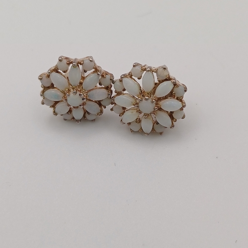 49 - Pretty Opal Earrings in a flower design
- 925 silver
- weight 2.81g