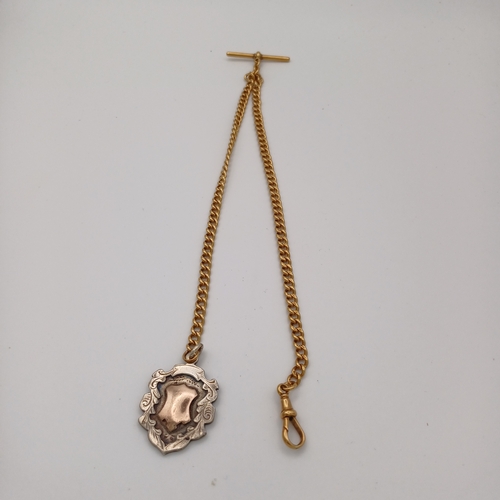 106 - A really lovely Albert Chain with charm.
- length without clasp and charm 14