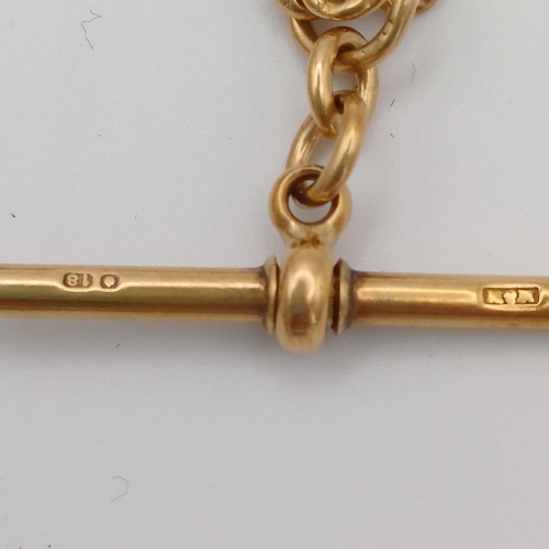 106 - A really lovely Albert Chain with charm.
- length without clasp and charm 14