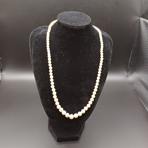 79 - Fashion Pearls in their original box and a nice clasp detail