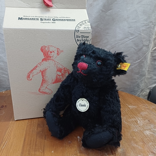 251 - Steiff Classic Black Bear  with his original box