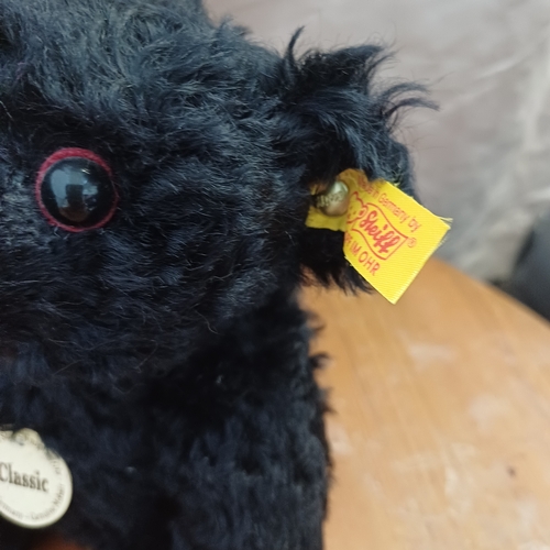 251 - Steiff Classic Black Bear  with his original box
