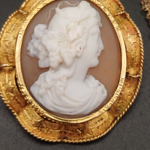 2 - Beautiful Victoria Cameo Brooch
- 15 ct yellow gold
- weight 8.1 g