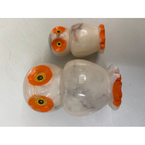 Lot 28        