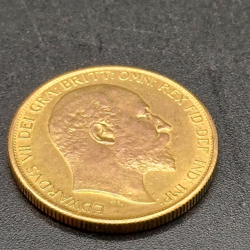 Lot 23        