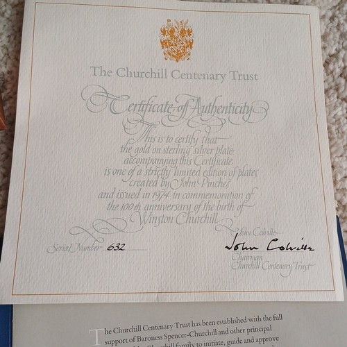 20 - The Churchill Centenary Trust 100th Anniversary of the Birth of Winston Churchill Silver with Gold o... 