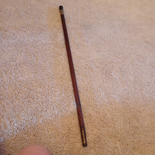 24 - Anglo Indian Circa 1890 Sward Stick/Cane having a brass Lion Mask and Engraved Bone Handle with a lo... 