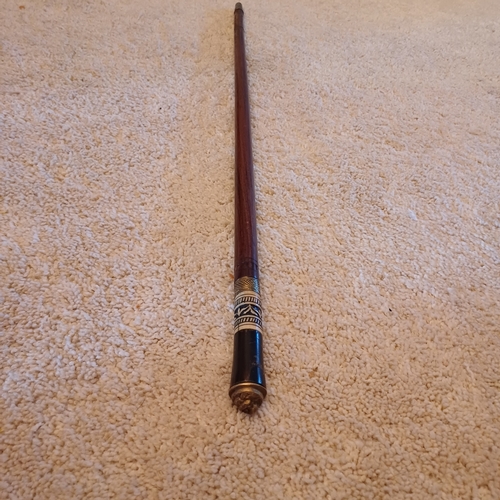 24 - Anglo Indian Circa 1890 Sward Stick/Cane having a brass Lion Mask and Engraved Bone Handle with a lo... 