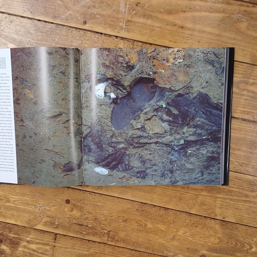 134 - Titanic The Last Great Images by Dr Robert Ballard.  This is a beautiful book