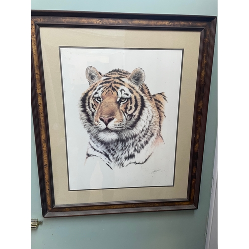 Lot 28        