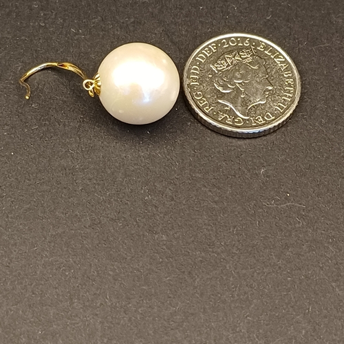16 - South Sea Pearl Earrings set on 18 carat yellow gold, very pretty.