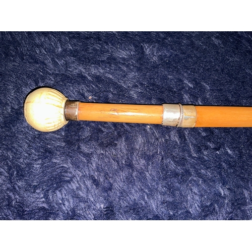207 - This silver and carved bone sword stick is a rare find. Lovely detailing to the blade. A real stunni... 