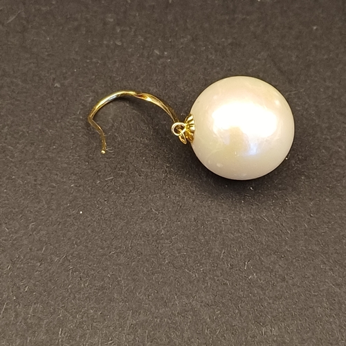 1 - South Sea Pearl Earrings set on 18 carat yellow gold, very pretty.
