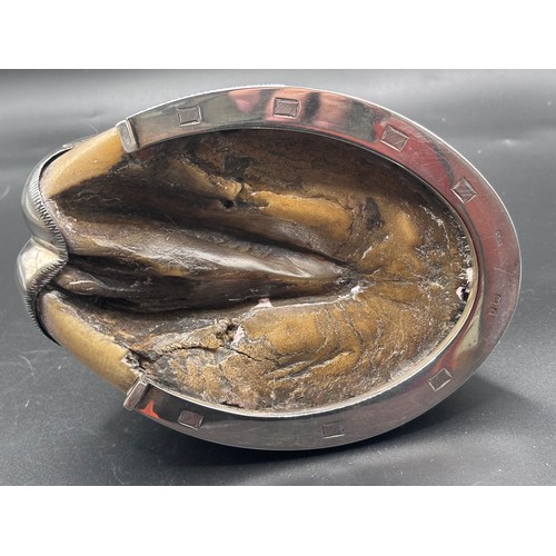 31 - Extremely rare find, A genuine horses hoofe casted in silver and converted into an inkwell. In memoi... 