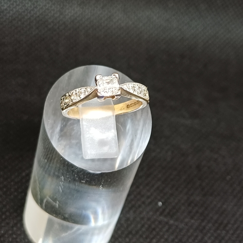 Lot 37D       