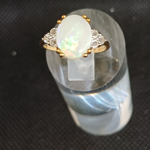 Lot 20C       