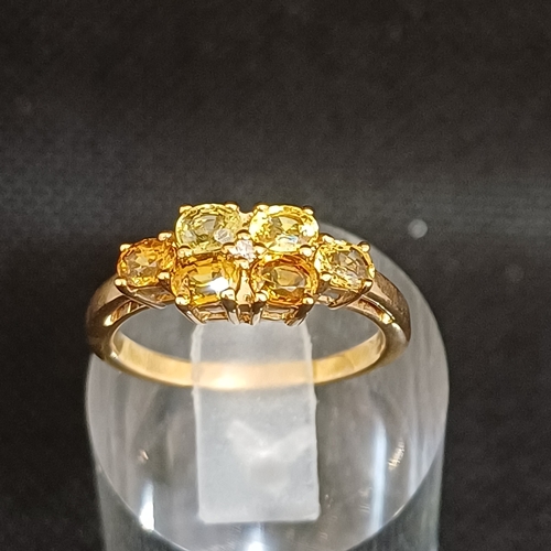 Lot 20D       
