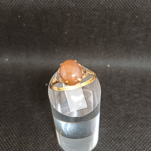 Lot 20E       