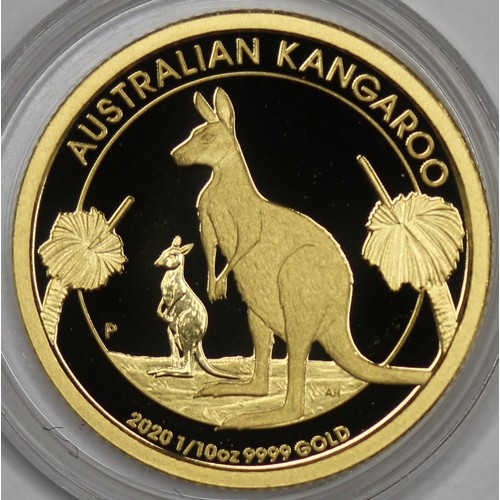 101 - Australia 2020 1/10oz gold kangaroo of $15. A little surface dust otherwise as struck. In capsule, n... 