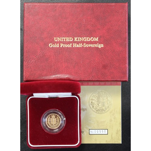 111 - 2002 Proof half sovereign, Elizabeth II. Marks by and below chin and by G in REGINA. Obverse portrai... 