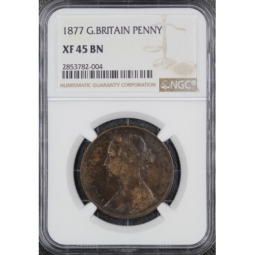 37 - 1877 Penny, NGC XF45 BN, Victoria. Wear to the highest points otherwise problem free with signs of a... 