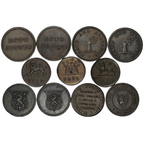 18 - A selection of 19th century farthing tokens spanning Truro, Swansea, Worcester & Yorkshire (11).... 