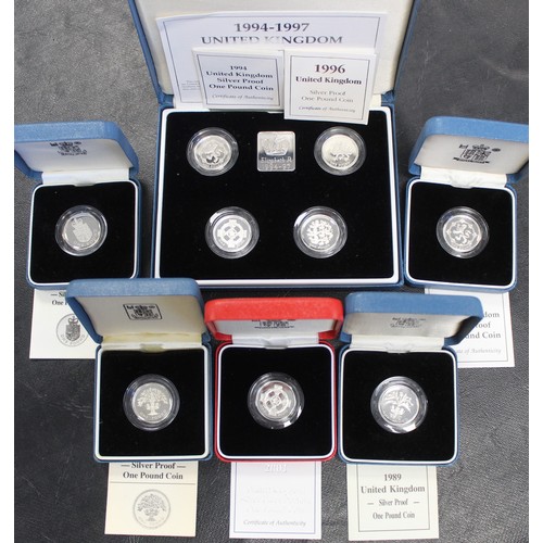 113 - Silver proof & silver proof piedfort £1 coins (9) including 1987, 1988, 1989, 1994 (2), 1995, 19... 