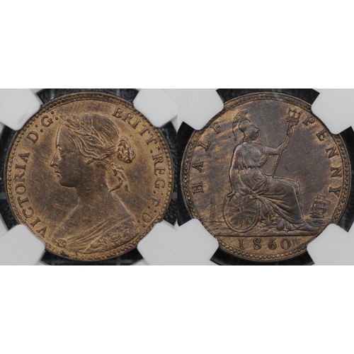 41 - 1860 Half Penny, NGC MS61BN, Victoria. A curious coin with I/small I in BRITT, F/small F in F:D: and... 