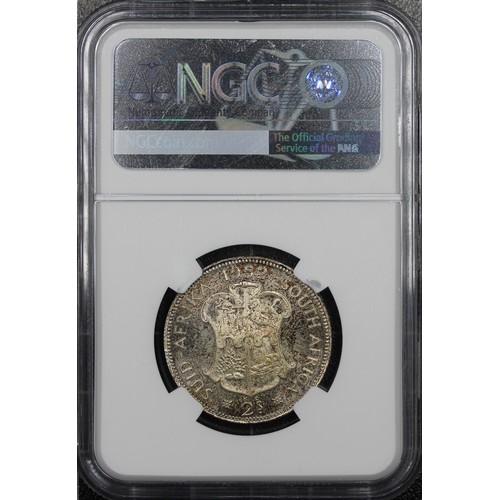 331 - South Africa, NGC PF66 1952 florin or two shillings, Elizabeth II. Mottled toning but with underlyin... 