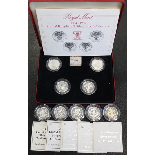 228 - Silver proof £1 coins (9) comprising 1984, 1985, 1986, 1987, 1993, 1994, 1995, 1996 & 1998. The ... 