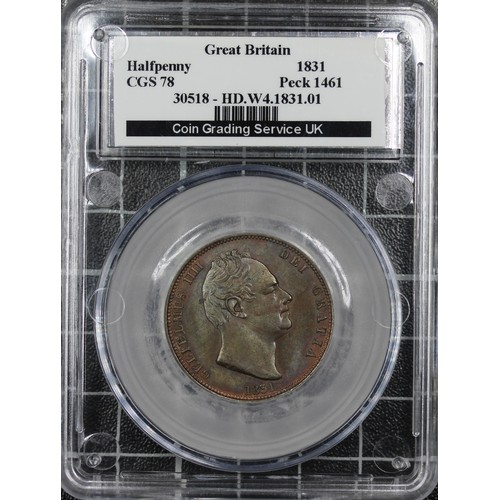 Lot 25        