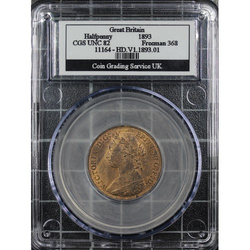 Lot 51        