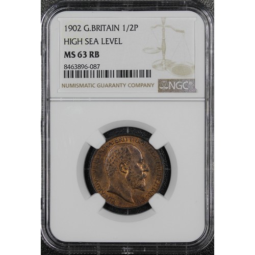 Lot 53        