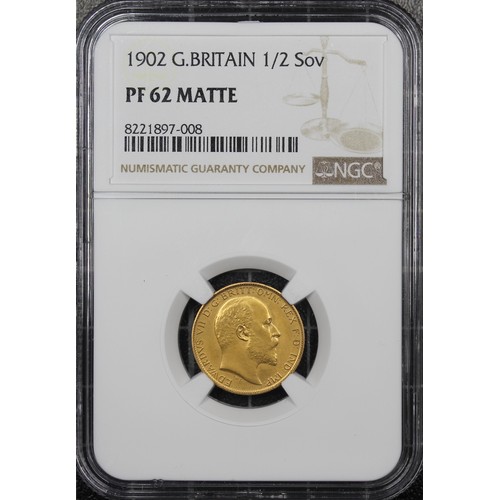 Lot 49        