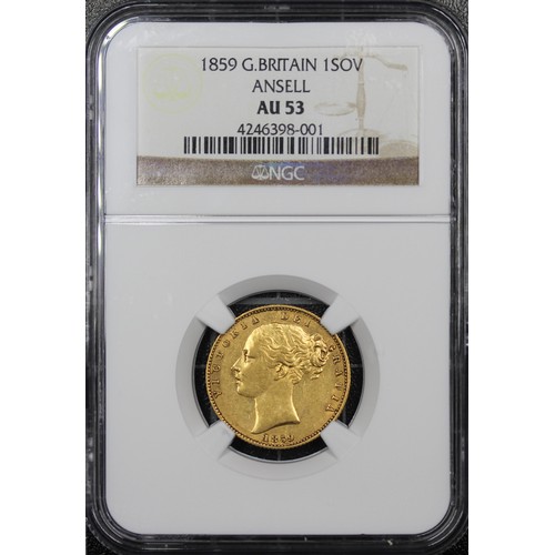 Lot 51        