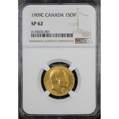 Lot 56        
