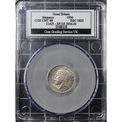 Lot 181       