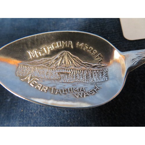 308 - Two American souvenir tea spoons marked 