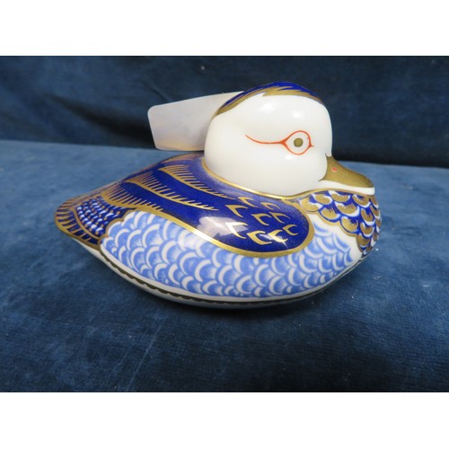 353 - A Crown Derby paperweight depicting a Duck marked XLIX.