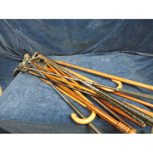 539 - A quantity of golf clubs, walking cane with brass dog handle, etc.,