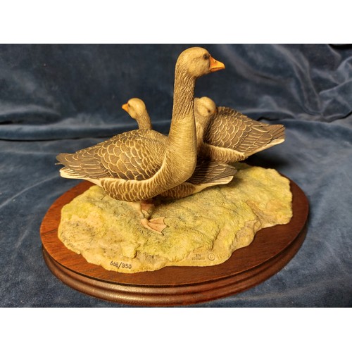 194 - A Border Fine Arts figurine of 3 Canadian Geese being a limited edition number 668 of 950 by Ayres, ... 