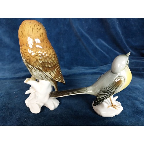 306 - Two German porcelain figures of birds designed by Karl Ens depicting a Wagtail and an Owl.