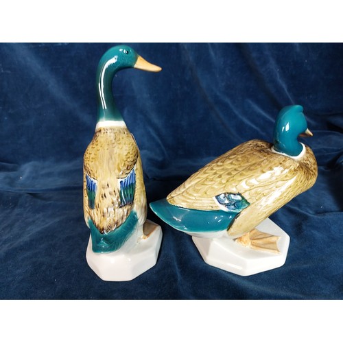 331 - Two Beswick figurines of ducks, one marked 817 on base, the other marked 902 on base.