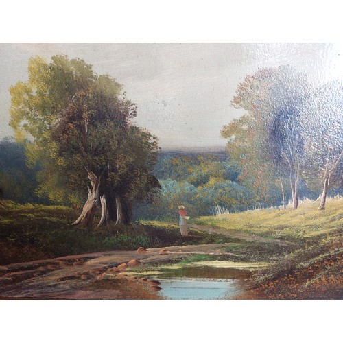 354 - A framed oil on board of lady in glade, signed W. Hay.