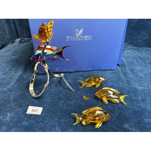 557 - A Swarovski Crystal figure being Paradise Fish, Red Flag Perch on chrome stand and with original box... 