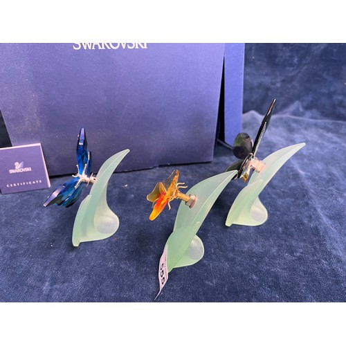 555 - Three Swarovski Crystal figures of Butterflies on purpose made stands, with original box.