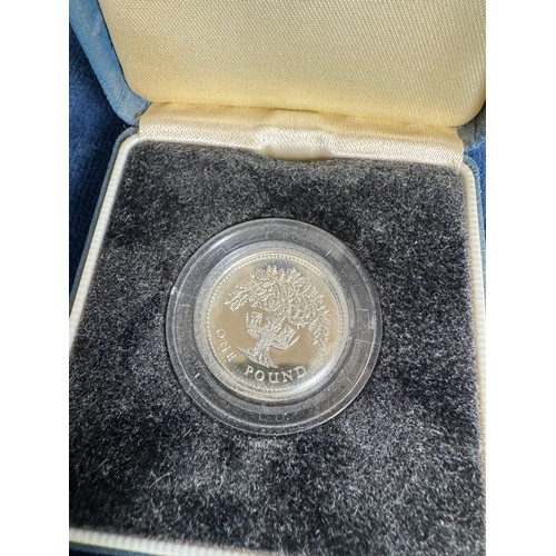 328 - A Royal Mint silver proof £1 coin, 1987, in presentation case