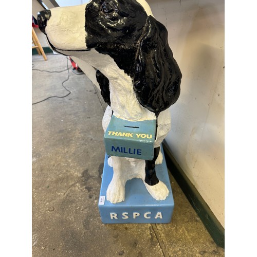 419 - An ‘RSPCA’ dog collection box, being a figure of a Spaniel dog on blue square base.